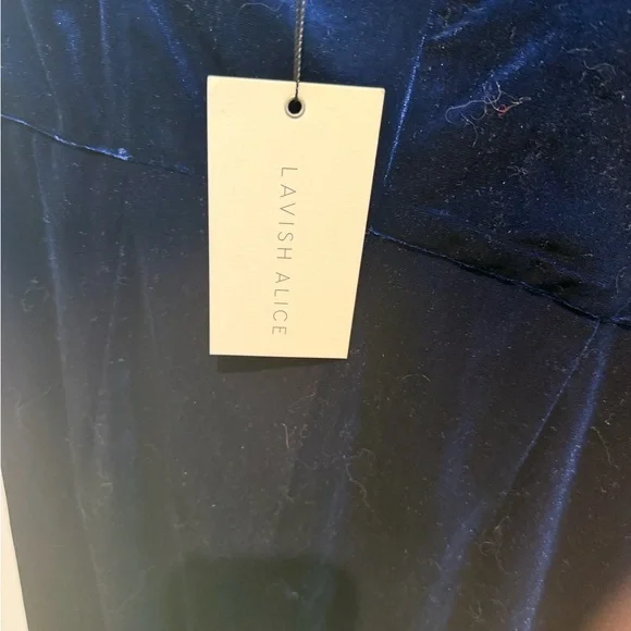 Lavish Alice Velvet One-Shoulder Asymmetrical Dress - Picture 5 of 6